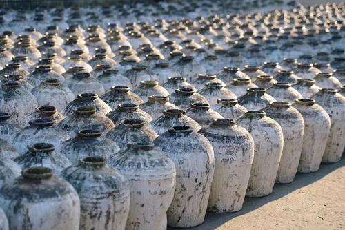 釀黃酒.jpg 釀黃酒.jpg