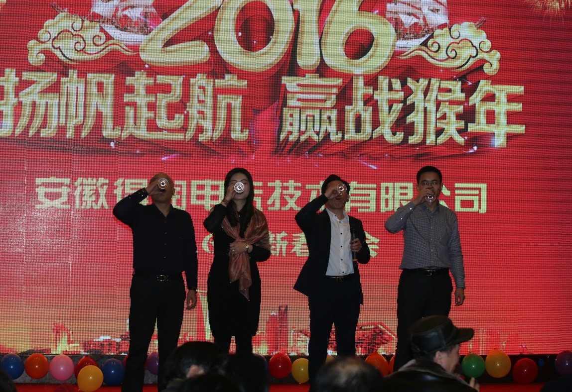 安徽得潤(rùn)電氣2016迎新晚會(huì)（m.metahope.cn）全國(guó)統(tǒng)一客服熱線：400-0551-777